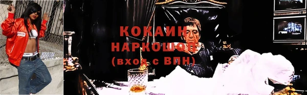 соль ск Няндома