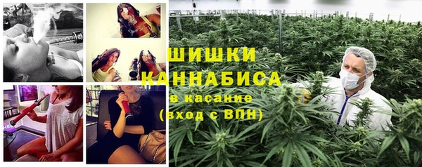 Альфа ПВП Нягань
