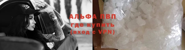 прущие грибы Нязепетровск