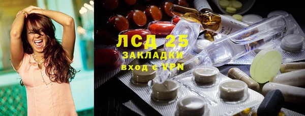 прущие грибы Нязепетровск