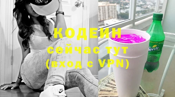 соль ск Няндома